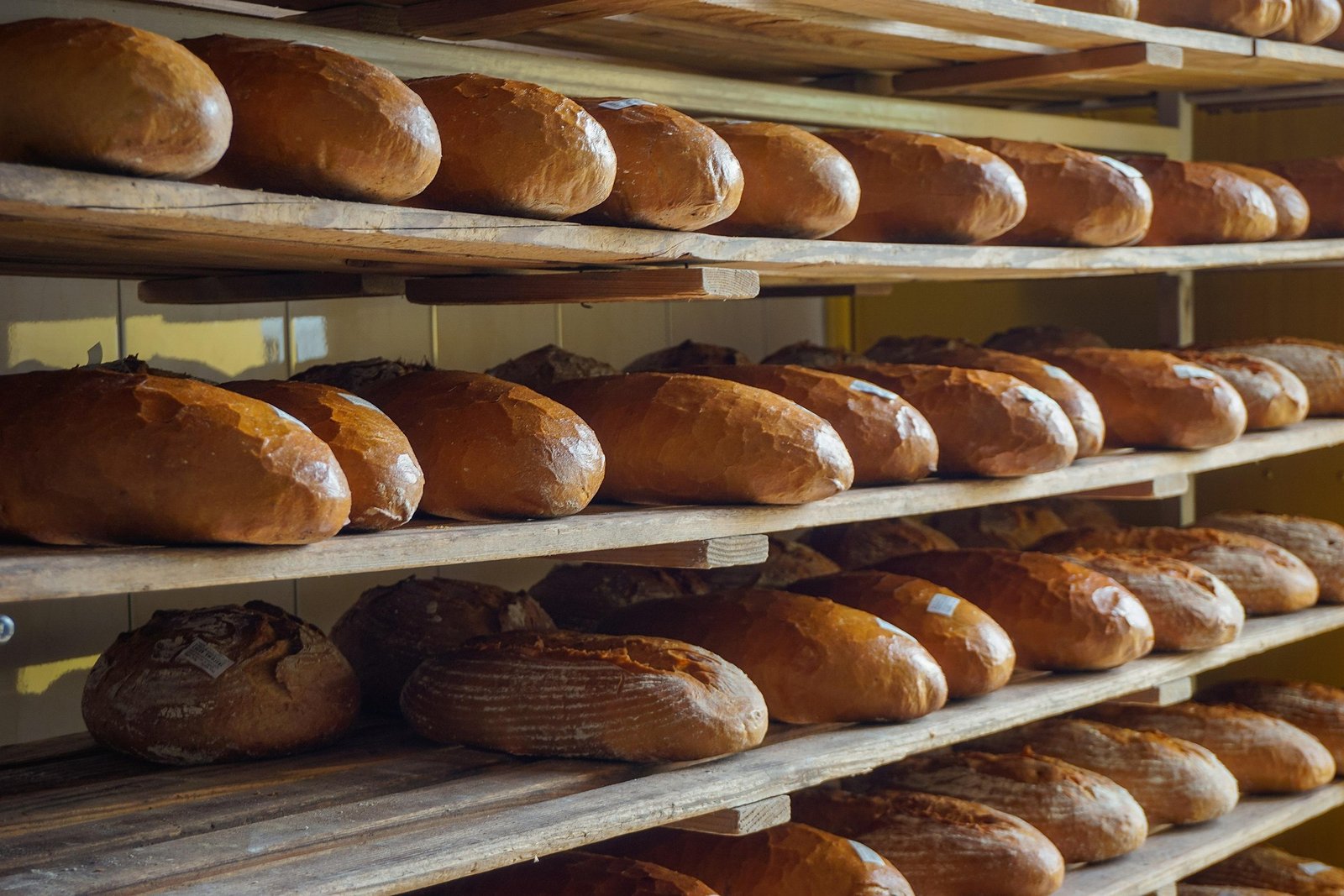 bread